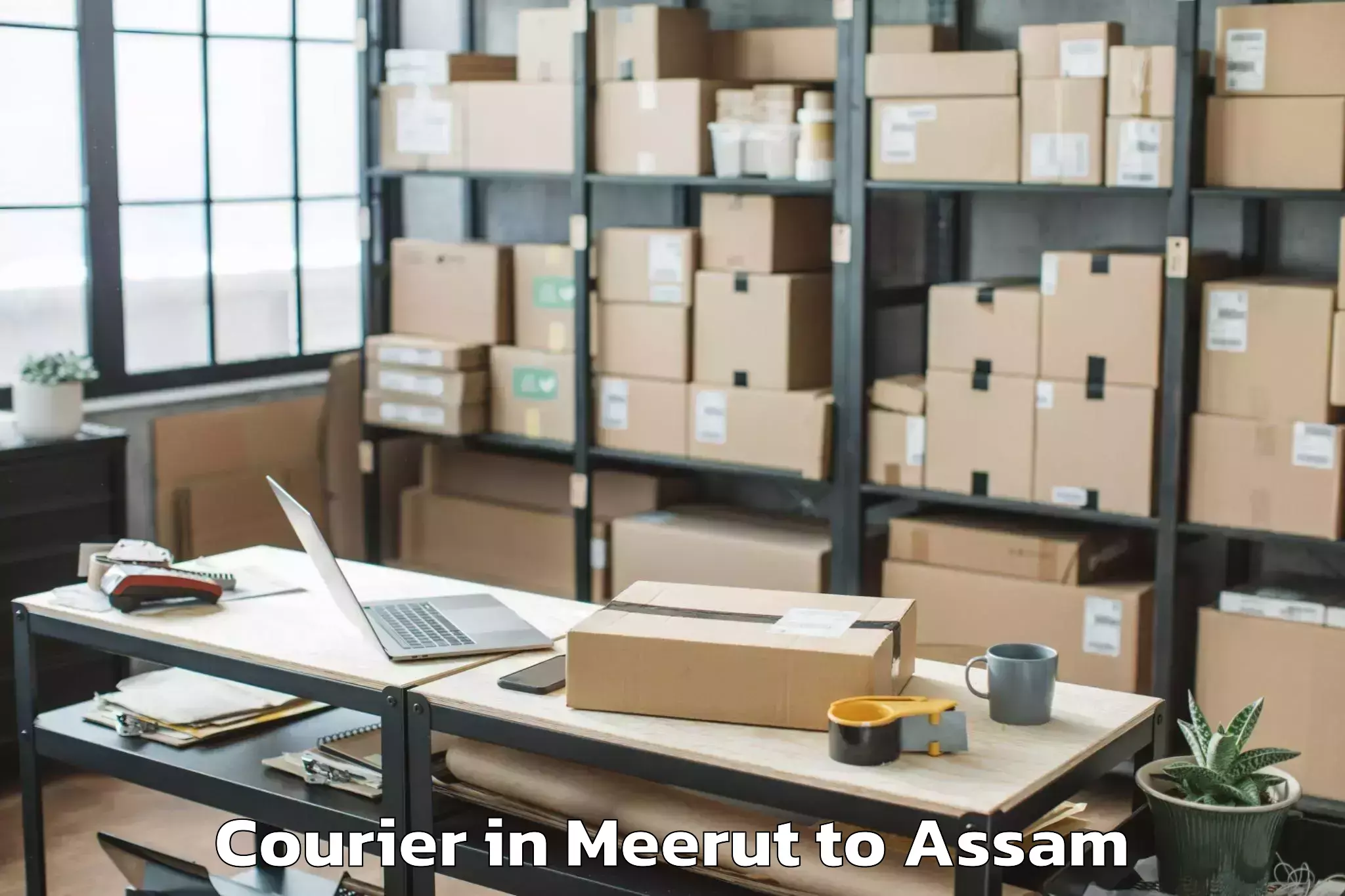 Hassle-Free Meerut to Tinsukia Courier